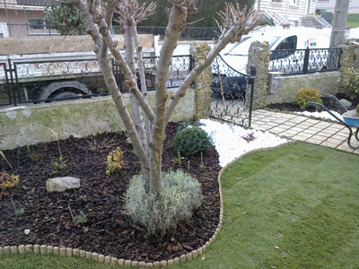 Abatage d'arbres