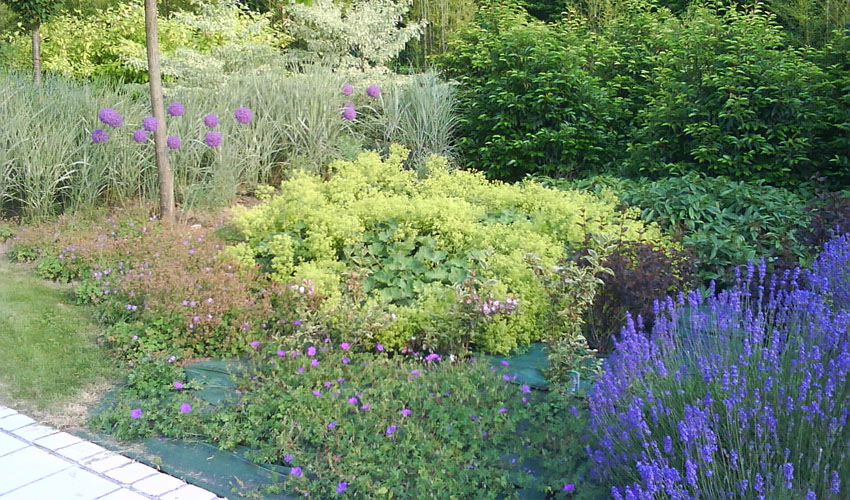Entretien de jardin